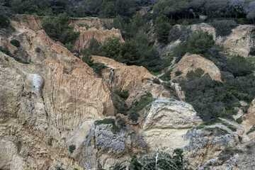 Naklejka premium Eroded Cliffside in Lush Forest near Portimao, Portugal