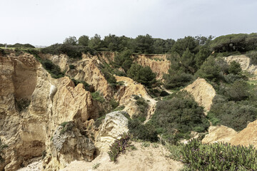 Eroded Cliffside in Lush Forest near Portimao, Portugal
