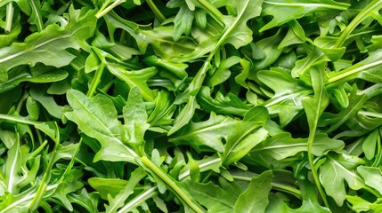 Fototapeta premium Fresh arugula salad leaves, top view background. Flat lay of fresh green rucola salad leaf texture pattern. SEAMLESS PATTERN