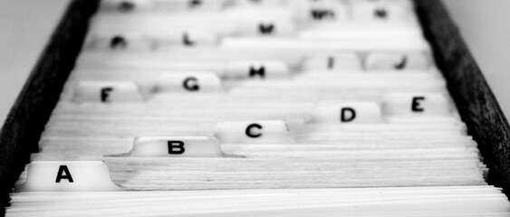 Index Cards for Business School Home Organization Names and Alphabet Contacts Organized