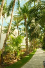 Fototapeta premium Beach days
