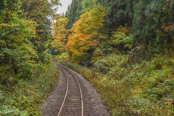 Beautiful Autumn Colors From The Train Of Akita Nairiku Line, Tohoku, Japan