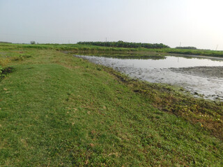 Agriculture green land from India