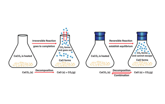 Reversible reactions and irreversible reactions. Reversible reactions and irreversible reactions. dynamic equilibrium. Vector scientific graph of chemical reaction. Chemical Equilibrium infographic.