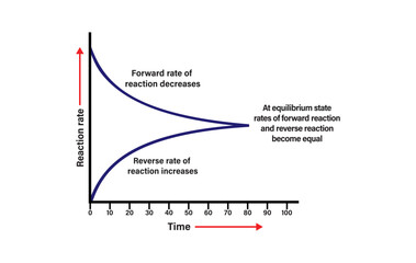 Reverse reactions and establishment of an equilibrium state. Vector scientific graph of chemical reaction. Chemical Equilibrium infographic diagram. Reversible reaction Vector