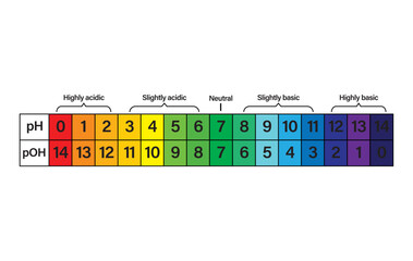 pH scale and pOH scale. ph and pOH scale indicator chart diagram with an arrow. Acid and alkaline solutions. acid-base balance infographic. ph and pOH scale on a white background.