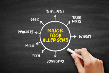 Major Food Allergens (reaction that occurs soon after eating a certain food) mind map text concept...