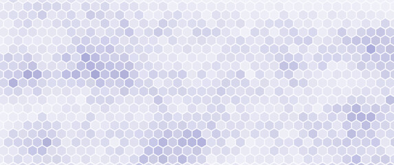 light blue gray hexagon seamless pattern background, polygonal geometric pattern design for background, science, presentation