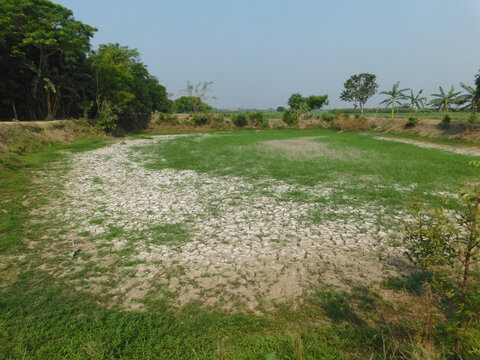 Dry soil in pond areas.