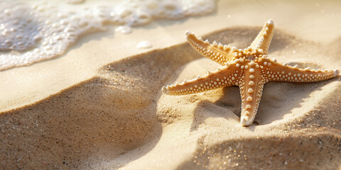 starfish on the beach