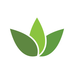 Eco Tree Leaf  Logo