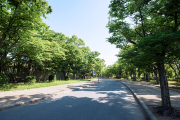 晴れの長居公園