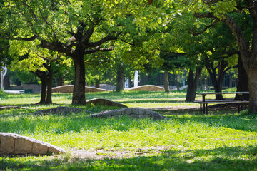 晴れの長居公園