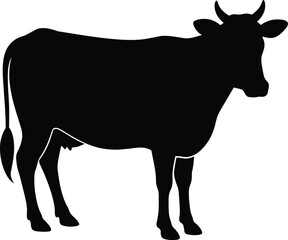 Cow black silhouettes on white background