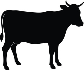 Cow black silhouettes on white background