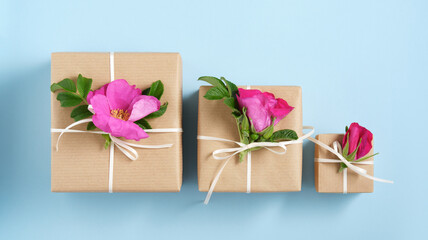 Set of brown gift boxes with rosehip flowers and white ribbon on blue background.