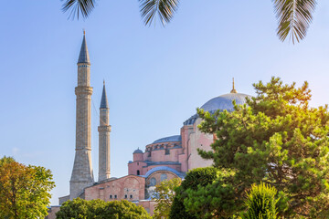 An early morning view of Hagia Sophia in Istanbul, Turkey, framed by bushes in the foreground.