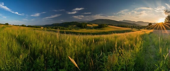 Panoramic Landscape of Green Grassy Field with Dirt Path and Trees at Sunset