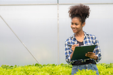 Happy young female farmer inspects fresh green oak lettuce salad Organic hydroponic vegetables on...
