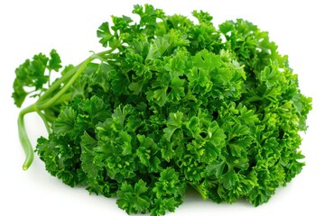 Fototapeta premium Fresh parsley with curly leaves isolated on white background