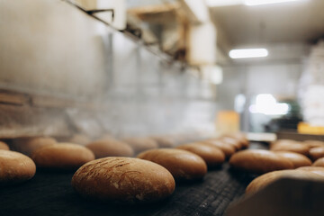 A lot of bread prepare to move on in the shelf. Bread bakery food factory production with fresh...