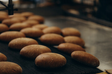 Fresh buns from the oven. Conveyor with bread. Baking bread. Workshop for production of bread. White bread in the oven. Hot buns. Confectionery.