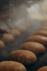 A lot of bread prepare to move on in the shelf. Bread bakery food factory production with fresh products. Automated production of bakery products.