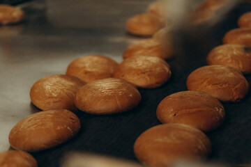 Fresh buns from the oven. Conveyor with bread. Baking bread. Workshop for production of bread. White bread in the oven. Hot buns. Confectionery.