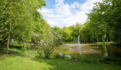 beautiful spa garden Bad Aibling with fountain in the pond, blooming viburnum and green birch trees, spring landscape  bavaria