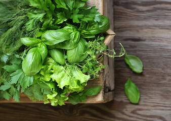 still life organic fragrant herbs on a wooden table