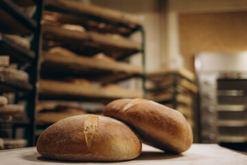 A lot of ready-made fresh bread in a bakery oven in a bakery. Bread making business. Fresh bread...