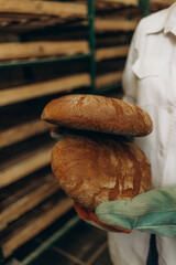 Worker showing freshly baked breads, holding them in hands. Different types of French bakery with...