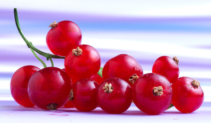 rote Johannisbeeren, isoliert, Obst, Beeren, Vitamine,