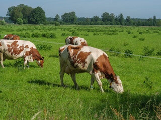 Lichtenvoorde in den Niederlanden