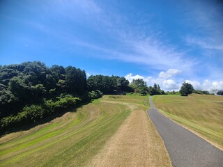 Narrow country road winding through a vast grassy field