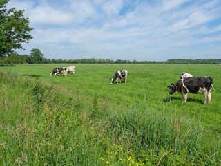 Lichtenvoorde in den Niederlanden