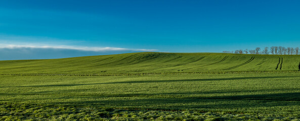 View from fast train to Brno near Ceske Budejovice with morning green meadows