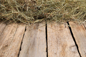 Dried hay on wooden table, closeup. Space for text