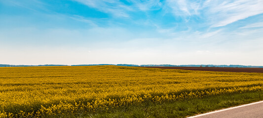 Beautiful spring view with yellow rapeseed fields near Ettling, Dingolfing-Landau, Bavaria, Germany