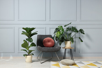 Comfortable armchair, pillows and green houseplants indoors