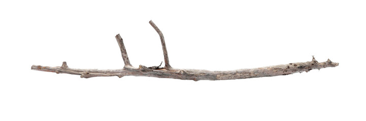 Old dry tree branch isolated on white