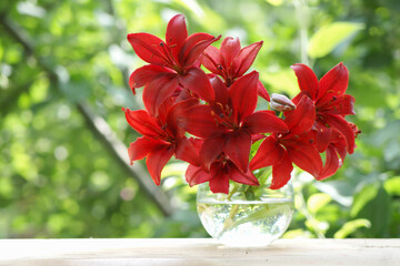 Bouquet of delightful bright red lilies in a glass vase against the blurred greenery of a sunny summer garden