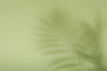 Presentation of product. Shadows on light green background. Space for text