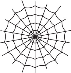 Obraz premium Spider webs