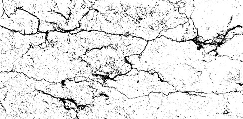 Obraz premium Black and White Marble Stone Vector Texture