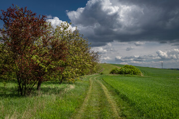 Meadows and fields near Mikulov town before storm in spring hot day