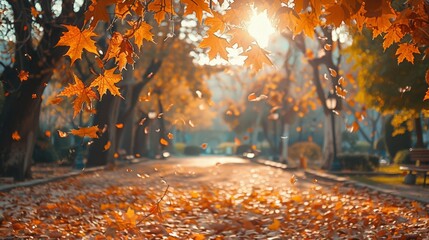 Colorful universal natural autumn background for design with orange leaves in autumn park and blurred background.  - Powered by Adobe