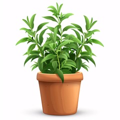 Fototapeta premium PNG illustration of a fragrant tarragon plant with green leaves in a rustic clay pot on a white background