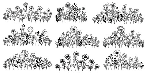 Set of Wildflower Outline Illustration, Flower Vector, Wildflower Vector, Decorative Flower