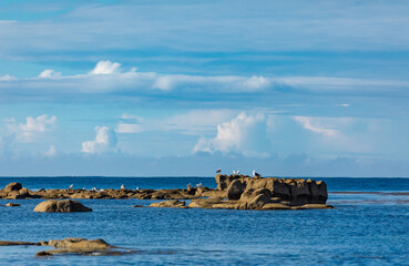 The rocky coastline of the Bay of Biscay in France